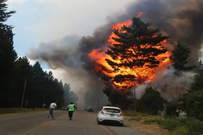 Foto: Incendio forestal en La Patagonia, Argentina /Cortesía Foto: Incendio forestal en La Patagonia, Argentina /Cortesía