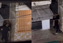 Cobarde golpea salvajemente a una mujer en República Dominicana (VIDEO) Foto: Golpea con el puño cerrado a mujer en República Dominicana /Cortesía