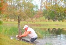 Hombre salvó a su perro de ser devorado por un lagarto (VIDEO) Foto: Un impresionante video se ha vuelto viral en redes sociales/Cortesía