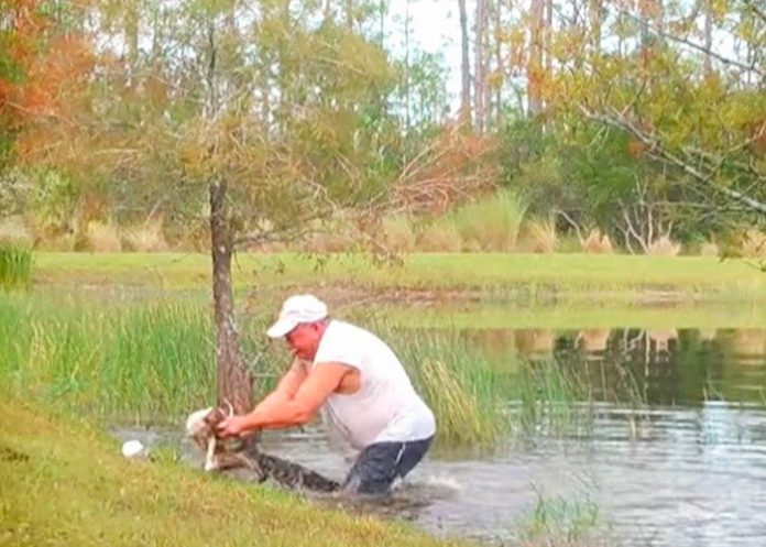 Foto: Un impresionante video se ha vuelto viral en redes sociales/Cortesía Foto: Un impresionante video se ha vuelto viral en redes sociales/Cortesía