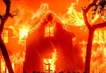 Incendios en Los Ángeles dejan cinco muertos y miles evacuados Foto: Incendios en Los Ángeles dejan cinco muertos y miles evacuados