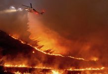 Incendios históricos devastan Los Ángeles y alrededores Foto: Incendios históricos devastan Los Ángeles y alrededores