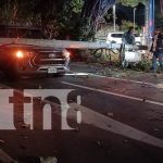 Conductor supuestamente borracho se pasa llevando un poste en Carretera Sur Foto: Conductor supuestamente borracho se pasa llevando un poste en Carretera Sur/TN8