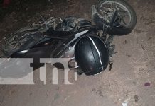 Tragedia en Villanueva: Motociclista fallece tras impactar contra un caballo Foto: Tragedia en Villanueva: Motociclista fallece tras impactar contra un caballo/TN8