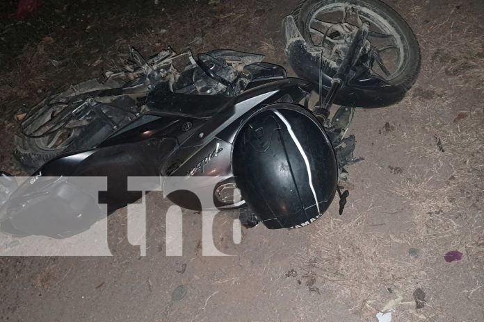 2 Foto: Tragedia en Villanueva: Motociclista fallece tras impactar contra un caballo/TN8