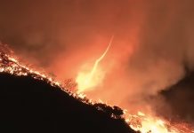 Impactante tornado de fuego avistado durante el incendio en Los Ángeles Foto: Incendio de Palisades, en Los Ángeles/Cortesía