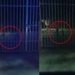 Espeluznante: Policías captan a niños fantasmas en una escuela primaria (VIDEO) Foto: Terror en una escuela de primaria /Cortesía