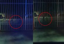 Espeluznante: Policías captan a niños fantasmas en una escuela primaria (VIDEO) Foto: Terror en una escuela de primaria /Cortesía