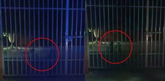 Foto: Terror en una escuela de primaria /Cortesía