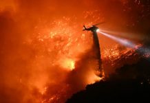 Suman a 25 los muertos tras los apocalípticos incendios de Los Ángeles Foto: Tragedia en Los Ángeles /cortesía