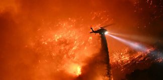 Foto: Tragedia en Los Ángeles /cortesía