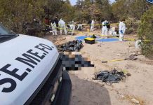 Descubren 56 cadáveres en fosas clandestinas en México Foto: Hallan 56 cadáveres en fosas clandestinas en México /Cortesía