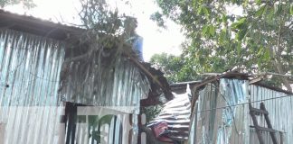 Foto: Rama de árbol destruye techo y deja dos personas lesionadas en Estelí/TN8