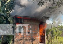 Incendio consume por completa vivienda de una señora en Chinandega Foto: Incendio consume por completa vivienda de una señora en Chinandega/TN8
