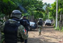 México: Ataque deja ocho abatidos, incluyendo dos objetivos criminales clave Foto: México: Ataque deja ocho abatidos, incluyendo dos objetivos criminales clave