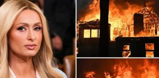Foto: Paris Hilton reúne dólares para víctimas de incendios /cortesía