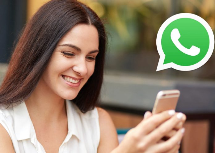 Foto: WhatsApp enciende la creatividad /cortesía Foto: WhatsApp enciende la creatividad /cortesía