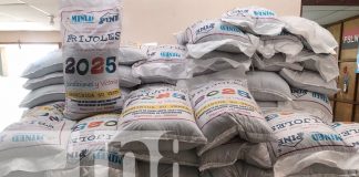 Foto:En Bluefields y Boaco, la merienda escolar 2025 ya llegó a miles de estudiantes con alimentos nutritivos. ¡Listos para comenzar el año escolar /TN8