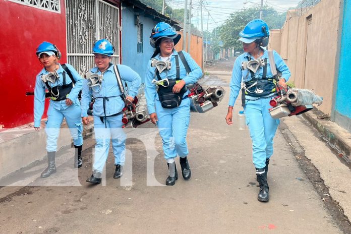 3 Foto: Jornadas de fumigación y limpieza en El Recreo dan excelentes resultados/TN8