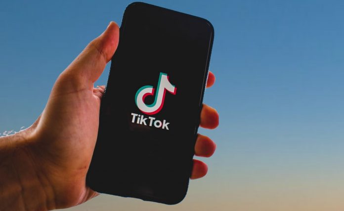3 Foto: Larry Ellison y Musk: posibles compradores de TikTok
