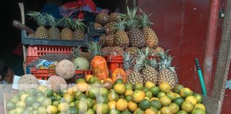 Foto: Mercados de Managua se convierten en un espectáculo aromas/TN8