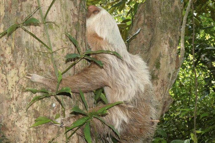 3 Foto: MARENA impulsa el ecoturismo y la conservación en la Reserva El Cortez/Cortesía
