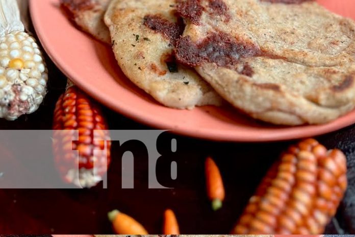 Foto: Gobierno apoya emprendimientos turísticos como Maíz en Ometepe. ¡Desarrollo y crecimiento para el turismo nacional! /TN8