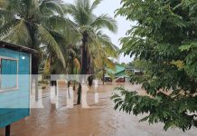 Lluvias persistentes en Bilwi afectan viviendas en barrios vulnerables Foto: Lluvias persistentes en Bilwi afectan viviendas en barrios vulnerables/TN8