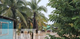 Foto: Lluvias persistentes en Bilwi afectan viviendas en barrios vulnerables/TN8