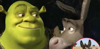 Foto: Muere "Perry", el burro que inspiró a personaje de Shrek /Cortesía