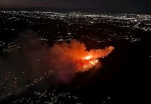 Crisis en Los Ángeles: Hollywood arde en llamas mientras el LAFD lucha por controlarlo Foto:¡Emergencia en Los Ángeles! Un incendio forestal amenaza las colinas de Hollywood, obligando a evacuaciones en la zona. /Cortesía