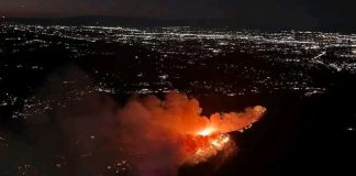Foto:¡Emergencia en Los Ángeles! Un incendio forestal amenaza las colinas de Hollywood, obligando a evacuaciones en la zona. /Cortesía