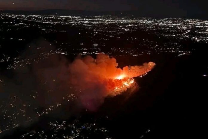 Foto:¡Emergencia en Los Ángeles! Un incendio forestal amenaza las colinas de Hollywood, obligando a evacuaciones en la zona. /Cortesía Foto:¡Emergencia en Los Ángeles! Un incendio forestal amenaza las colinas de Hollywood, obligando a evacuaciones en la zona. /Cortesía