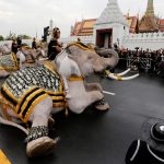 Elefante asustado por fuegos artificiales aplastó a 5 personas en Tailandia (VIDEO) Foto: Elefante pisotea a varias personas en Tailandia /Cortesía