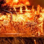 Videos de las llamas infernales en Los Ángeles, incendios arrasan sin freno Foto: Incendios fuera de control en Los Ángeles /Cortesía