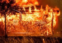 Videos de las llamas infernales en Los Ángeles, incendios arrasan sin freno Foto: Incendios fuera de control en Los Ángeles /Cortesía