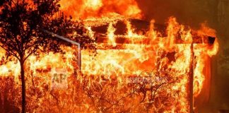 Foto: Incendios fuera de control en Los Ángeles /Cortesía