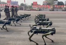 Innovación en la India: Exhiben escuadrón de perros robots durante desfile Foto: India exhibe un escuadrón de perros robots /Cortesía