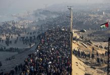 Miles de palestinos regresan a Gaza en medio de devastación y esperanza Foto: Palestinos comienzan a regresar al norte de Gaza /Cortesía