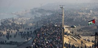 Foto: Palestinos comienzan a regresar al norte de Gaza /Cortesía