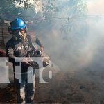 Operativo Antimosquito: Duro impacto al mosquito del dengue en en Managua Foto: Operativo Antimosquito: Duro impacto al mosquito del dengue en en Managua / TN8