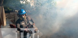Foto: Operativo Antimosquito: Duro impacto al mosquito del dengue en en Managua / TN8