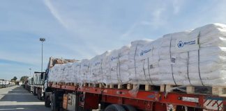 Foto: Más de 600 camiones de ayuda humanitaria entraron a la Franja de Gaza /Cortesía