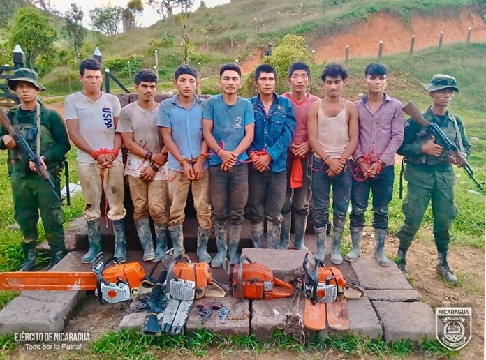 Foto: Presos por delito ambiental en Bosawás / TN8 Foto: Presos por delito ambiental en Bosawás / TN8