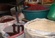 Foto: Precios de la canasta básica en Nicaragua