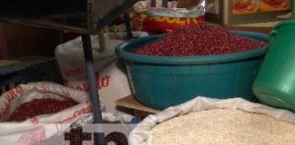 Foto: Precios de la canasta básica en Nicaragua