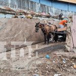 ¡No más basura en las calles! Alcaldía de Managua habilita depósitos responsables Foto: Depósitos autorizados para basura en Managua /TN8