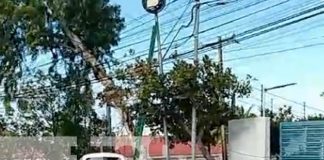 Foto: Potente descarga eléctrica acaba con la vida de un obrero en Villa Fontana, Managua / TN8