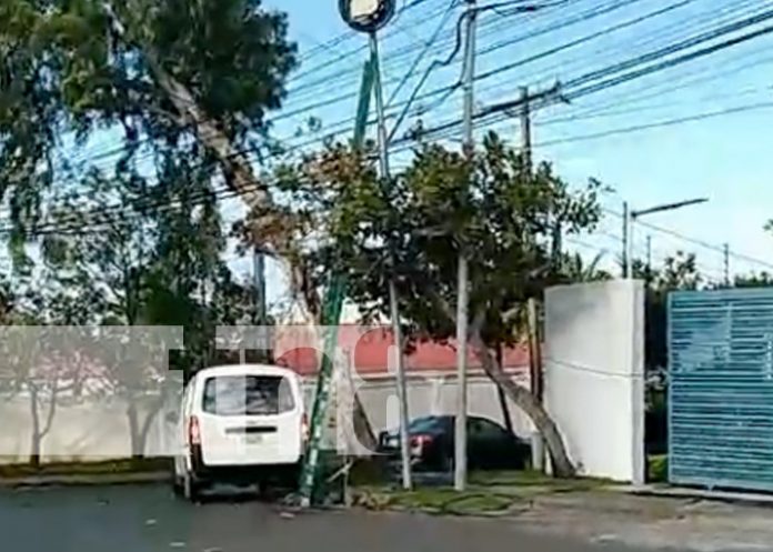 Foto: Potente descarga eléctrica acaba con la vida de un obrero en Villa Fontana, Managua / TN8 Foto: Potente descarga eléctrica acaba con la vida de un obrero en Villa Fontana, Managua / TN8