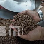 Nicaragua afianza su liderazgo en exportación de café, cuero y tabaco Foto: Reconocen a cafetería de Nicaragua como una de las mejores del mundo / TN8
